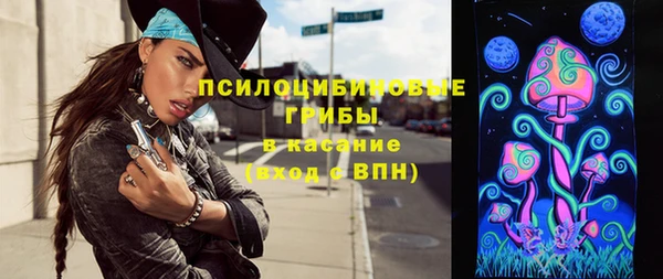 a pvp Алексин